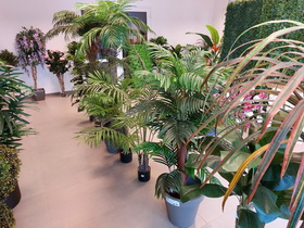 showroom STUDIOGREEN